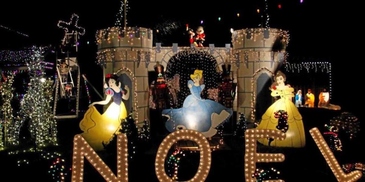 A house full of Christmas lights, and Disney Princesses.