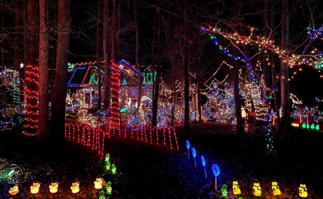 A home, full of sparkling christmas lights, deep in the forest.