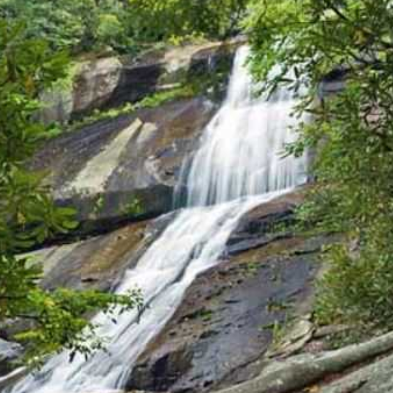 A waterfall streams downward, surrounded by green tree branches.
