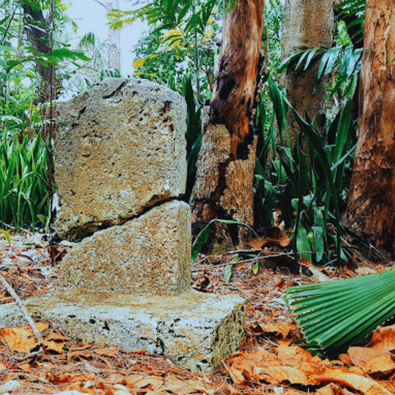 A very old gravestone, remains standing despite deep cracks. Tropical trees and greenery surround.